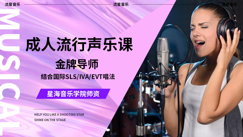 成人流星声乐体验课（金 牌老师）